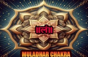 मूलाधार चक्र क्या है? What is muladhar chakra मूलाधार चक्र क्या है? What is muladhar chakra