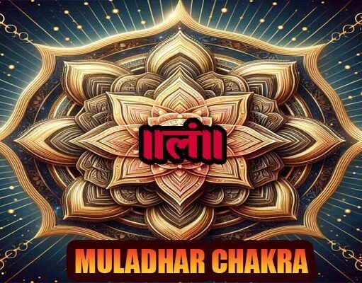 मूलाधार चक्र क्या है? What is muladhar chakra मूलाधार चक्र क्या है? What is muladhar chakra