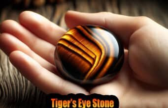 Tiger’s Eye Stone – Confidence, Strength, Protection Tiger's Eye Stone - Confidence, Strength, Protection